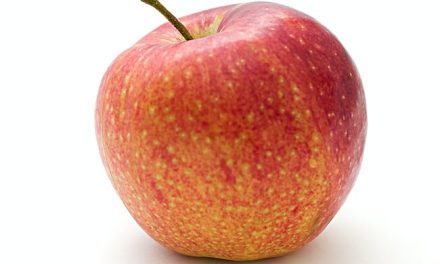 Find det perfekte æbletræ til din have