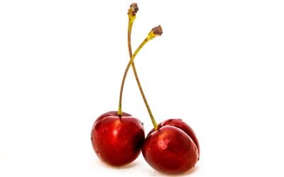 Fantastiske frugter: Opdag kirsebærtræets unikke charme